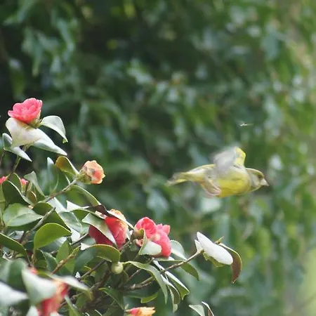 Bed & Breakfast Chambres D'hotes La Laiterie *