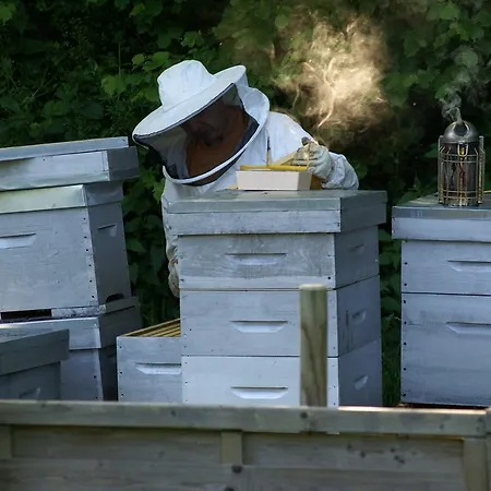 Chambres D'hotes La Laiterie Grosville