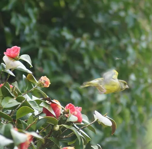 Bed & Breakfast Chambres D'hotes La Laiterie *