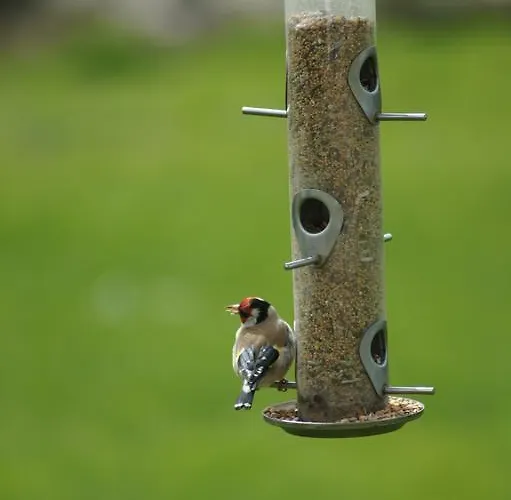 Chambres D'hotes La Laiterie Grosville
