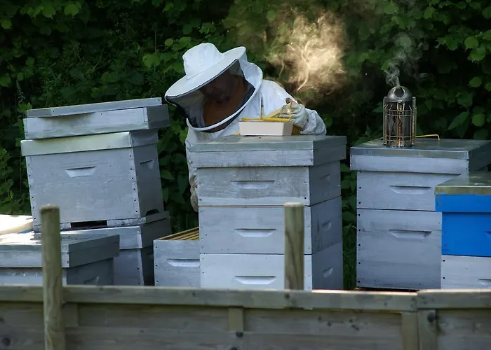 Chambres D'hotes La Laiterie Grosville